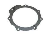 SWIVEL PIN GASKET